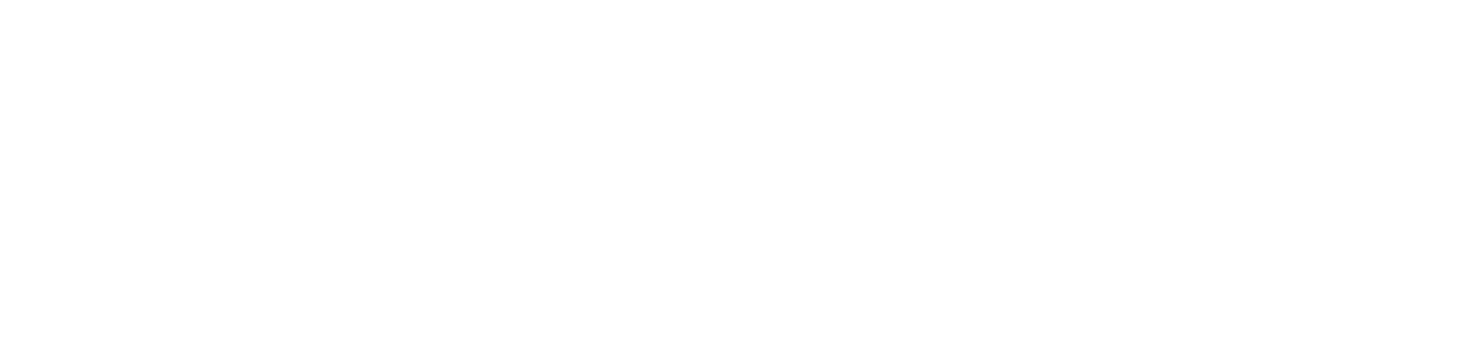 SEO Website Rank brand name in white on color.